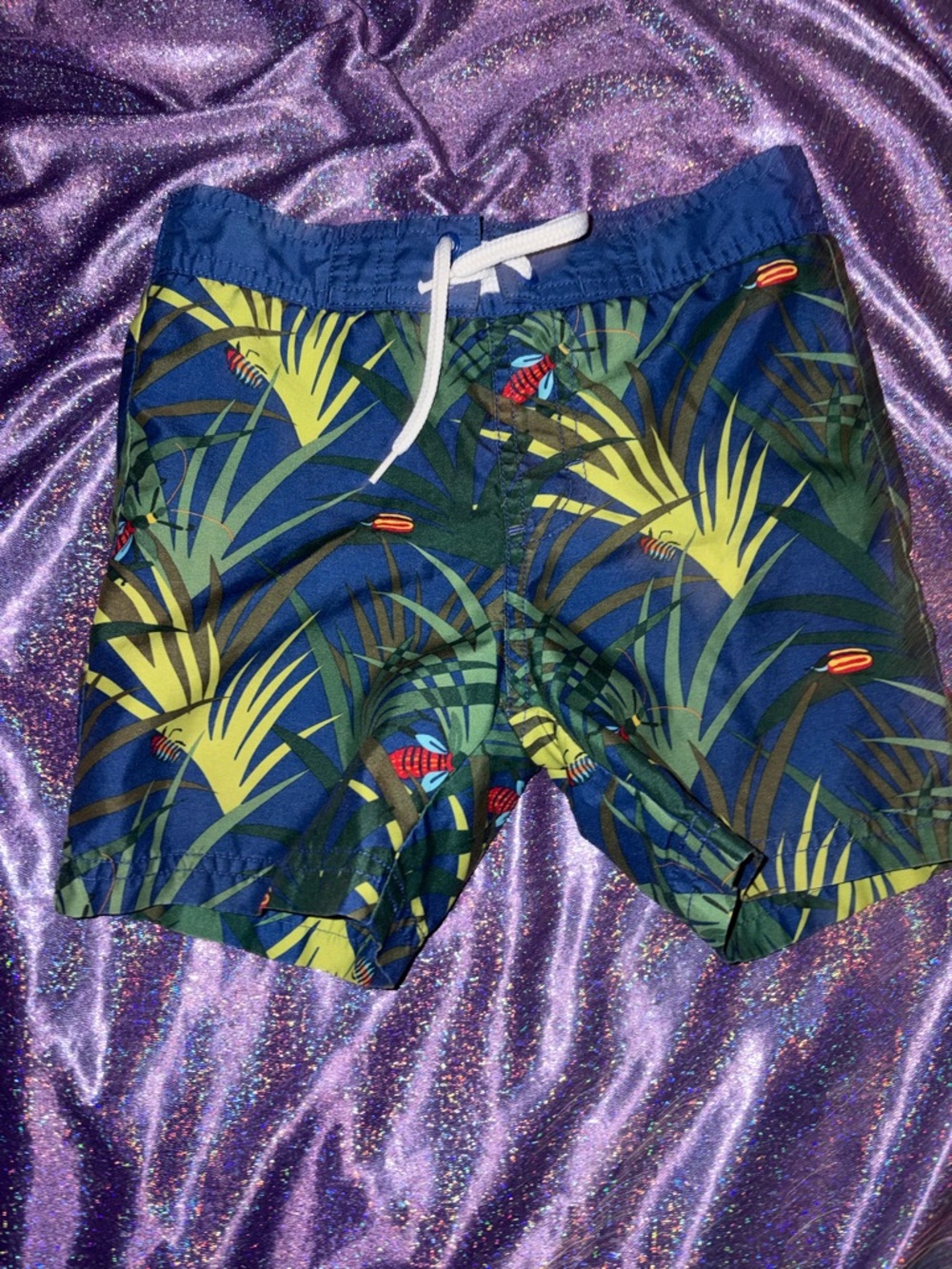 Boys Gymboree Bugs Swim Trunks